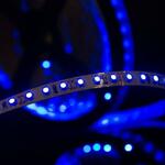 фото Открытая светодиодная лента синего свечения 3528 600 LED