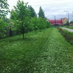 фото Покос травы триммером по низкой цене за сотку Тюмень.