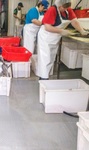 Сборное покрытие для пола пищевых цехов и модульные полы для продуктовых складов