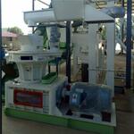 фото Высококлассное оборудование для производства топливных гранул из Китая
