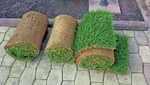 фото Газонная трава в рулонах. Доставка