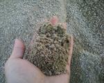 фото Отсев (песок от дробления от 0,1 мм до 5мм) с довставкой