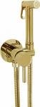 фото Giulini FSH25/BDOR гигиенический душ со смесителем золото