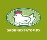 Лого Экоинкубатор - Инкубаторы для яиц