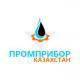 Лого Промприбор Казахстан