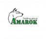 Лого AMAROK