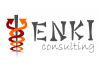 Лого ENKI consuling