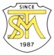 Лого STM