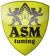 фото ASM Tuning