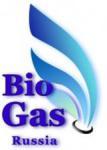 Лого BioGas