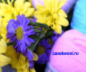 фото Lan'Ok Wool
