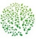 Лого Компанния "Эко-Строй"