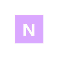 Лого NS PARTS