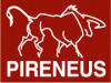 Лого ООО "Пиренеус"
