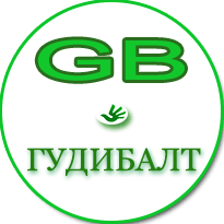 Лого ГудиБалт